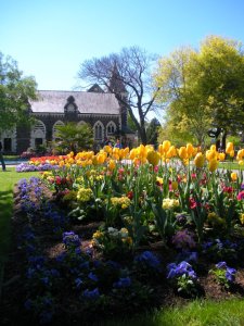 313089_2288487304351_1432130027_n